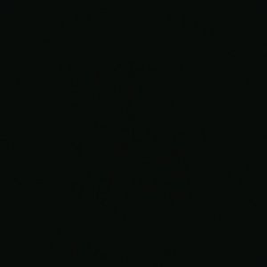 Meet your Posher, Junior